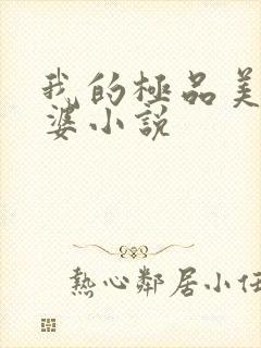 我的极品美女老婆小说
