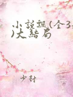 小说飘(全3册)大结局