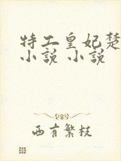 特工皇妃楚乔传小说 小说