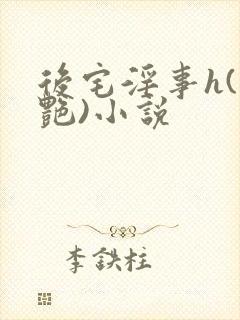 后宅淫事h(香艳)小说