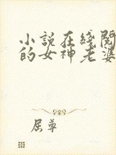 小说在线阅读我的女神老婆