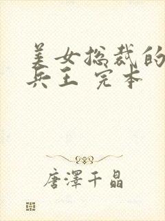 美女总裁的贴身兵王 完本