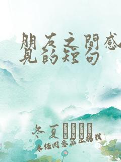 朋友之间感恩遇见的短句