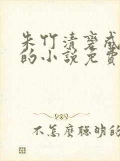 朱竹清变成朱奴的小说免费阅读