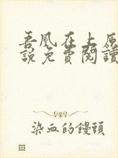 吾凰在上原著小说免费阅读