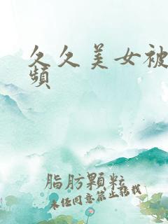 久久美女被插视频