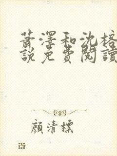 萧泽和沈榕宁小说免费阅读