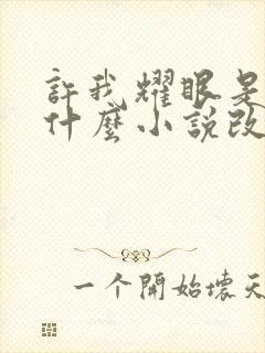 许我耀眼是根据什么小说改编