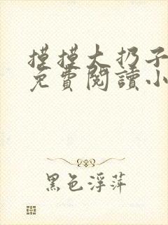 摸摸大扔子小说免费阅读小说