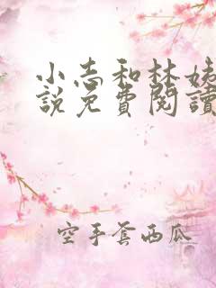 小志和林姨的小说免费阅读全文