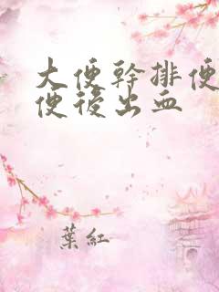 大便干排便困难便后出血