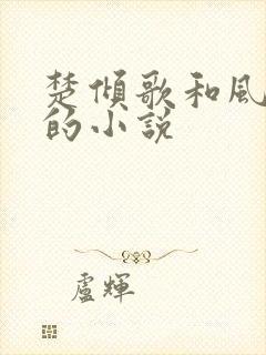 楚倾歌和风漓夜的小说