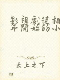 影视剧从相爱十年开始的小说