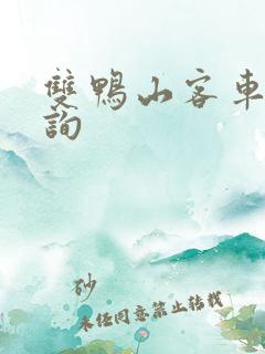 双鸭山客车票查询