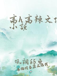 高h高辣文伦理小说