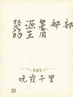 楚源是哪部小说的主角