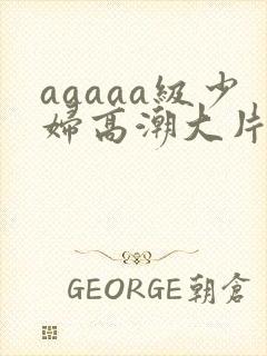 aaaaa级少妇高潮大片欧美