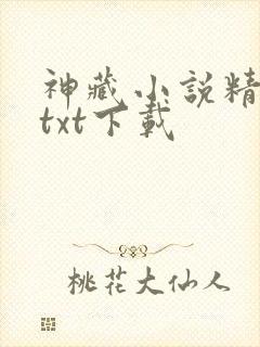 神藏小说精校版txt下载