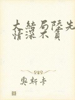 大结局陆先生,情深不负