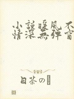 小说暖风不及你情深无弹窗