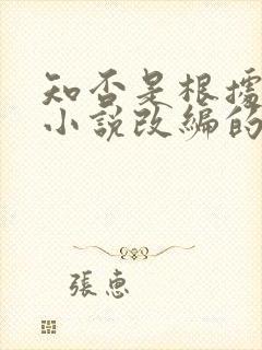 知否是根据什么小说改编的