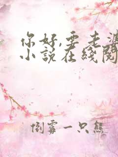 你好,要老婆吗小说在线阅读