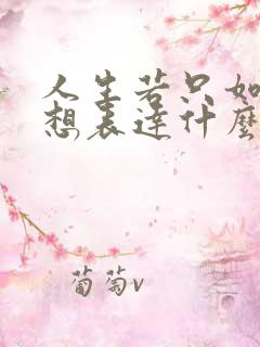 人生若只如初见想表达什么心情