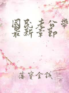 国民老公带回家最新章节