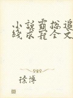 小说霸总追妻在线求宠全文