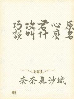 巧攻君心原著小说叫什么名字