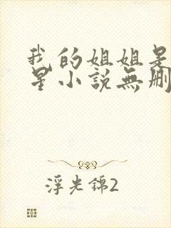 我的姐姐是大明星小说无删减版