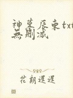 神墓辰东txt无删减