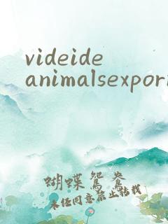 videideanimalsexporn