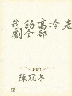 我的高冷老婆短剧全部