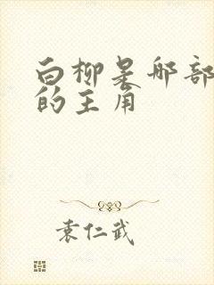 白柳是哪部小说的主角