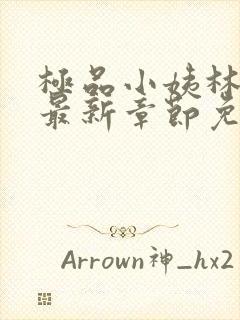 极品小姨林浩云最新章节免费阅读