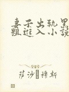 妻子出轨黑人巨粗进入小说