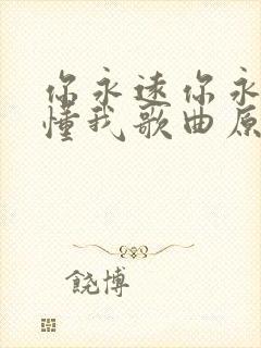 你永远你永远不懂我歌曲原唱