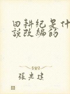 田耕纪是什么小说改编的