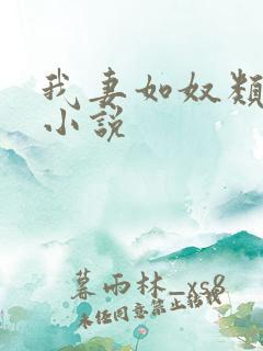 我妻如奴类似的小说