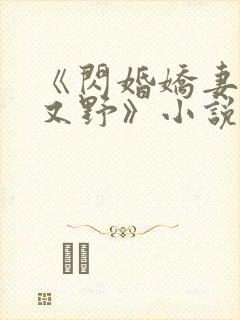 《闪婚娇妻又甜又野》小说