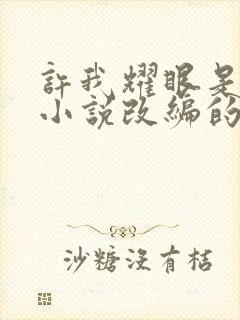 许我耀眼是什么小说改编的