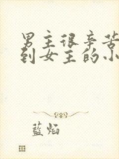 男主很辛苦才追到女主的小说