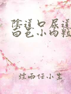 阴道口尿道口长白色小肉粒