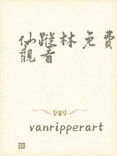 仙踪林免费在线观看