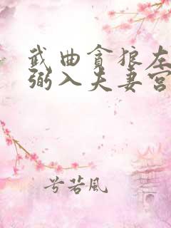 武曲贪狼左辅右弼入夫妻宫