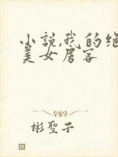 小说,我的绝色美女房客