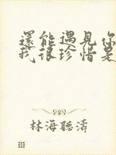 还能遇见你所以我很珍惜是什么歌