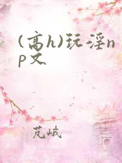 (高h)玩淫np文