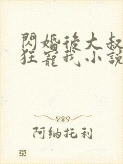 闪婚后大叔每天狂宠我小说免费阅读